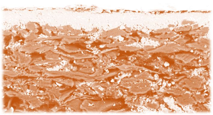 Detailbeeld via SEM (scanning elektronenmicroscopie) van een papierstructuur