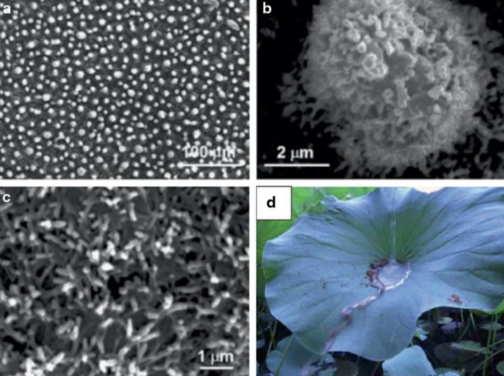 microscoop opnames vuilafstotend oppervlak