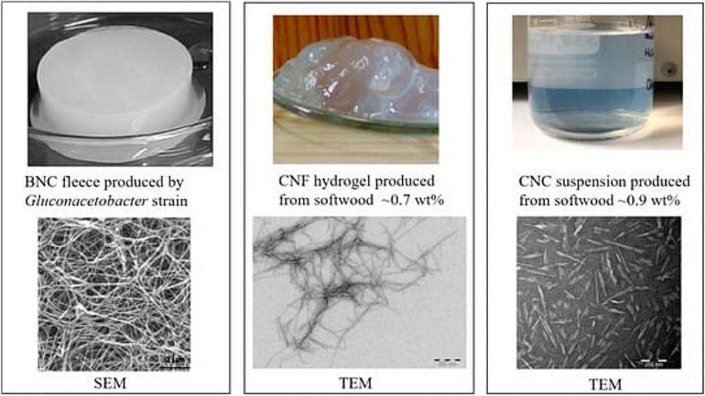 Nanocellulose types