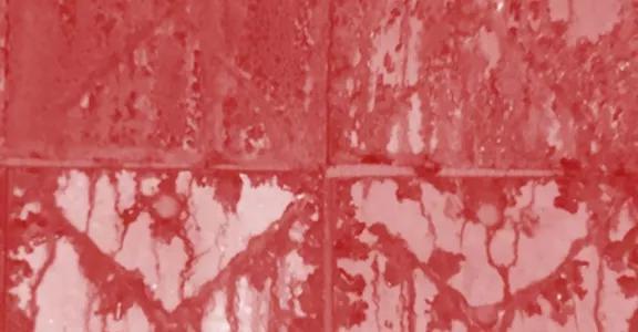 Biogebaseerde corrosiewerende additieven_header deel 2