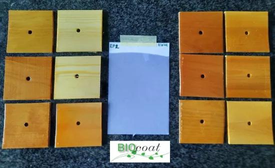 Bio-based epoxy coatings