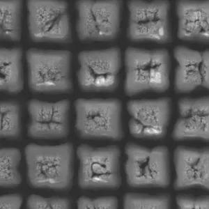MetaBlack multiscale texture