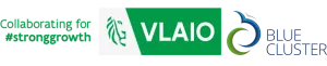 Logo VLAIO-Blauwe Cluster